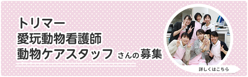 トリマー、愛玩動物看護師・動物ケアスタッフさんの募集