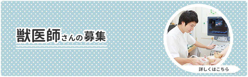 獣医師さんの募集